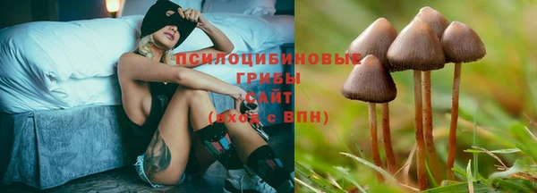 mix Армянск