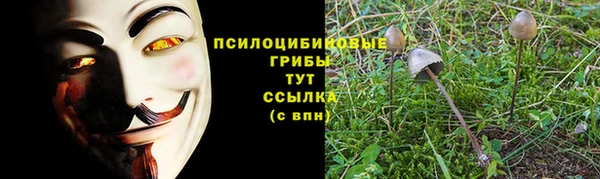 мяу мяу мука Аркадак